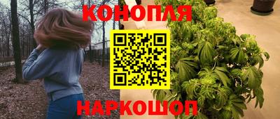 мяу мяу мука Ставрополь