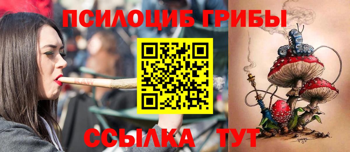 Псилоцибиновые грибы Psilocybe Аша