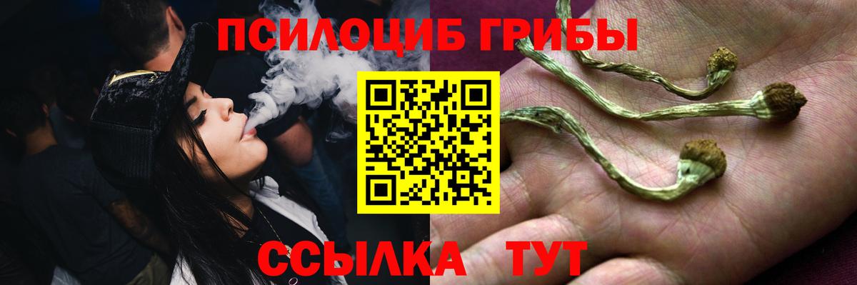 Аша  Псилоцибиновые грибы ЛСД  Вход с VPN 